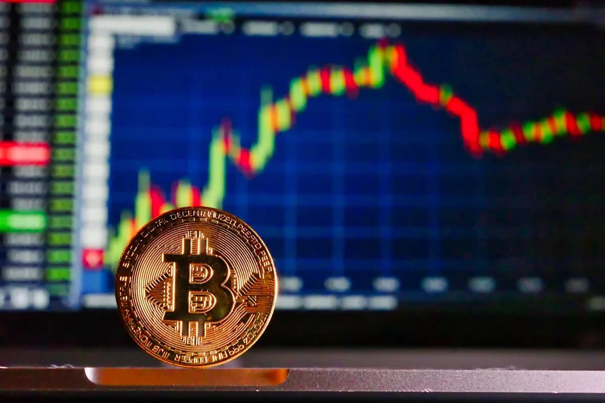 What Makes Crypto Move?
